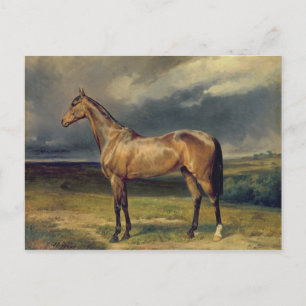 Abdul Medschid' das Kastanienholzpferd, 1855 Postkarte