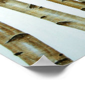 Abedules Blancos Poster (Ecke)