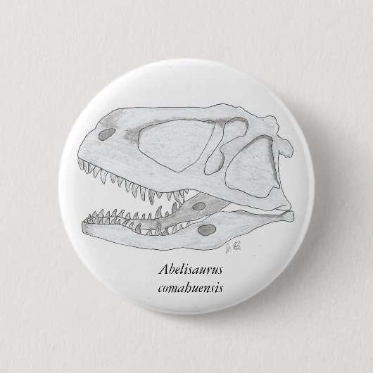 Abelisaurus comahuensis Schädelknopf Button (Vorderseite)