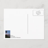 Abend am Palmenbaum Postkarte (Rückseite)