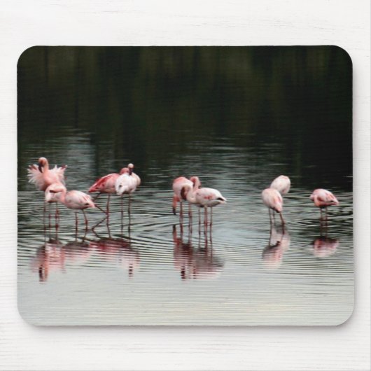 Abend am See - Mousepad (Vorne)