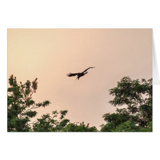 Abend Anreise (Vorderseite (Horizontal))