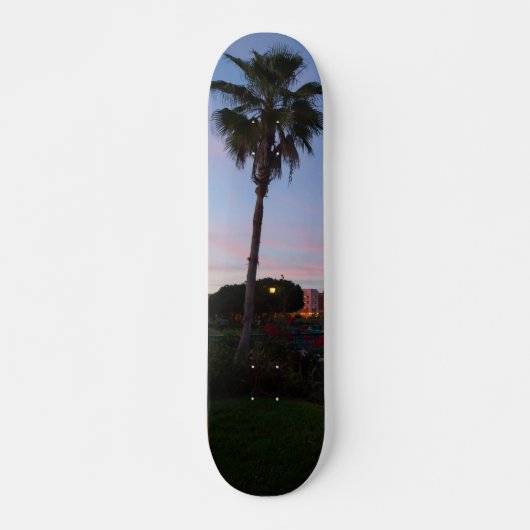 Abend auf dem Skateboard Palm Tree (Vorne)