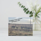 Abend-Aufholzeit Postkarte (Stehend Vorderseite)
