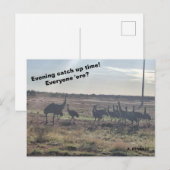 Abend-Aufholzeit Postkarte (Vorne/Hinten)