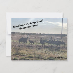 Abend-Aufholzeit Postkarte