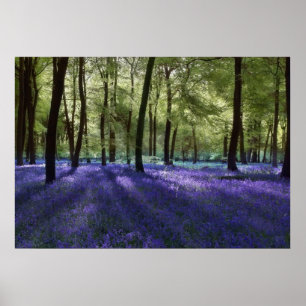 Abend Blubells Poster