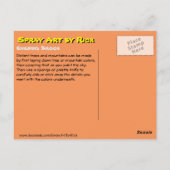 Abend Brook Postkarte (Rückseite)