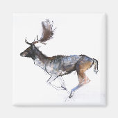 Abend Buck Magnet (Vorne)