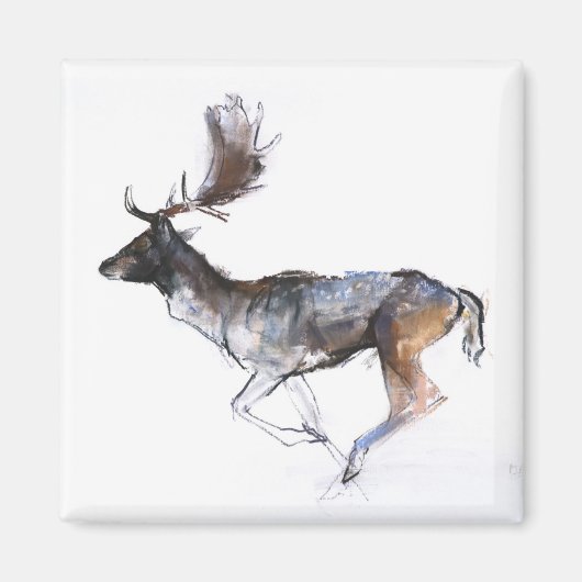 Abend Buck Magnet (Vorne)