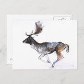 Abend Buck Postkarte (Vorne/Hinten)