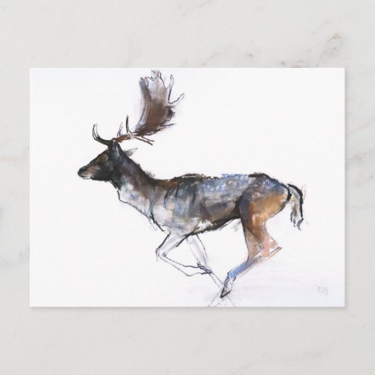 Abend Buck Postkarte (Vorderseite)