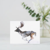 Abend Buck Postkarte (Stehend Vorderseite)