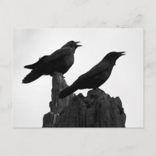 Abend Call Postkarte