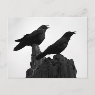 Abend Call Postkarte