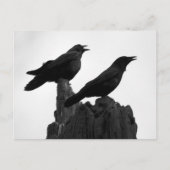 Abend Call Postkarte (Vorderseite)