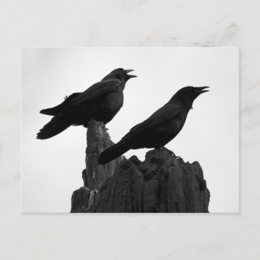 Abend Call Postkarte (Vorderseite)