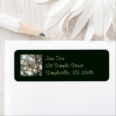 Abend Cherry Blossoms II Frühjahr Sonnenuntergang (Insitu)