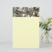 Abend Cherry Blossoms II Frühjahr Sonnenuntergang Briefpapier (Stehend Vorderseite)