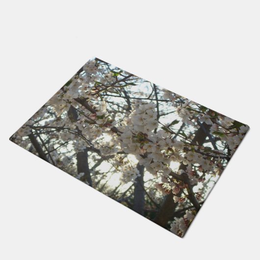 Abend Cherry Blossoms II Frühjahr Sonnenuntergang Fußmatte (Schrägansicht)