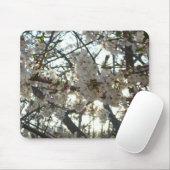 Abend Cherry Blossoms II Frühjahr Sonnenuntergang Mousepad (Mit Mouse)