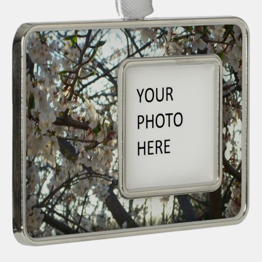 Abend Cherry Blossoms II Frühjahr Sonnenuntergang Rahmen-Ornament Silber (Rechts)