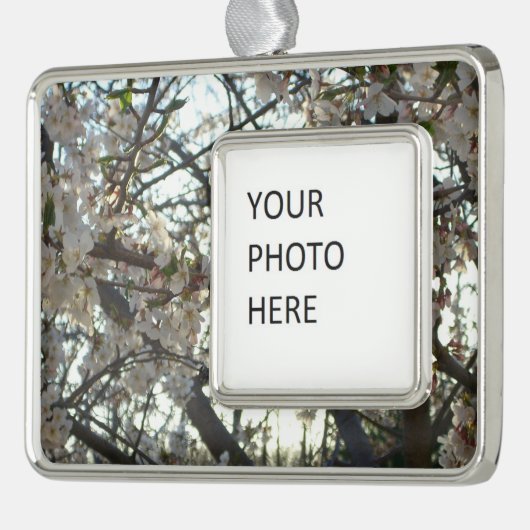 Abend Cherry Blossoms II Frühjahr Sonnenuntergang Rahmen-Ornament Silber (Links)