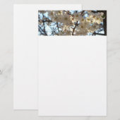 Abend Cherry Blüten I Spring Floral Briefpapier (Vorne/Hinten)