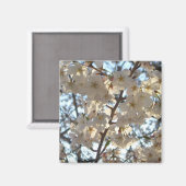 Abend Cherry Blüten I Spring Floral Magnet (Vorderseite/Rückseite)