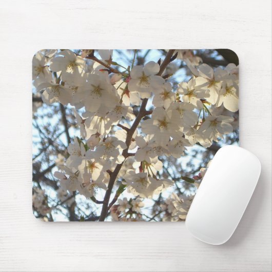 Abend Cherry Blüten I Spring Floral Mousepad (Mit Mouse)