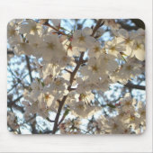 Abend Cherry Blüten I Spring Floral Mousepad (Vorne)