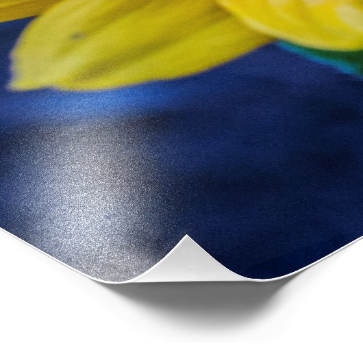 Abend Daisy von Jon Hulsinger Fotodruck (Ecke)