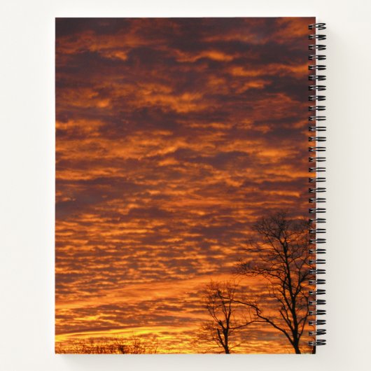 Abend Dream Notebook Notizblock (Rückseite)