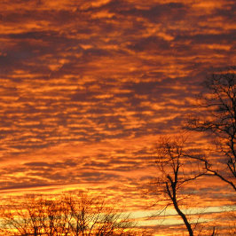 Abend Dream Notizblock