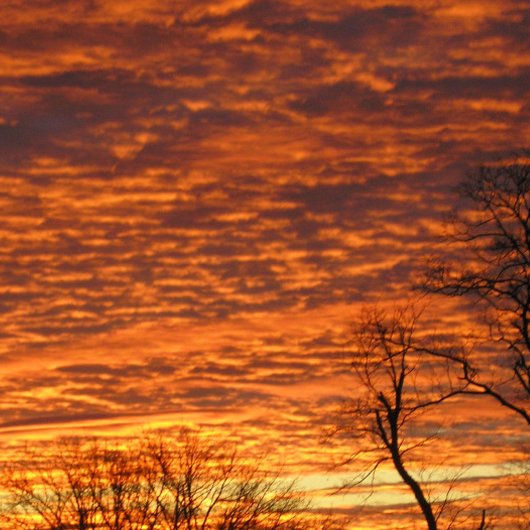 Abend Dream Notizblock