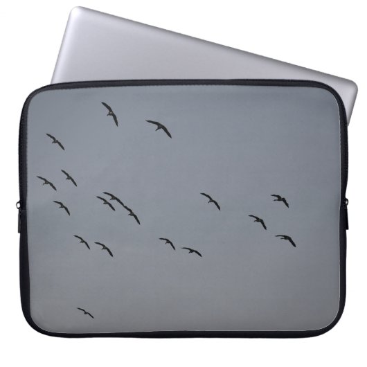 Abend Flight Electronics Bag Laptopschutzhülle (Vorderseite)