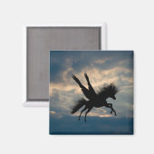 Abend Flight Magnet (Vorderseite/Rückseite)