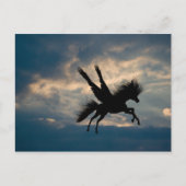 Abend Flight Postkarte (Vorderseite)