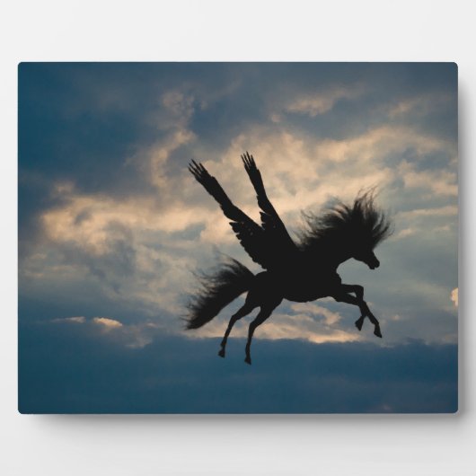 Abend Flight v.1 Plaque Fotoplatte (Vorderseite)
