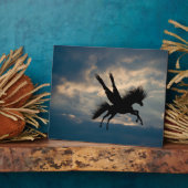 Abend Flight v.1 Plaque Fotoplatte (Seite)