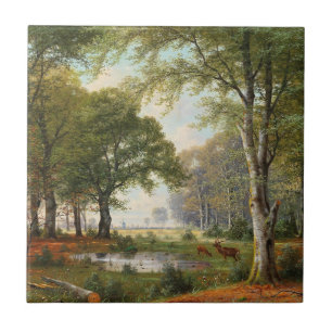 Abend Forest Landschaft Fliese