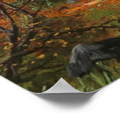 Abend Forest Landschaft Poster (Ecke)