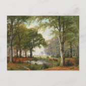 Abend Forest Landschaft Postkarte (Vorderseite)