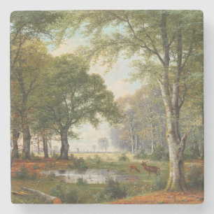 Abend Forest Landschaft Steinuntersetzer
