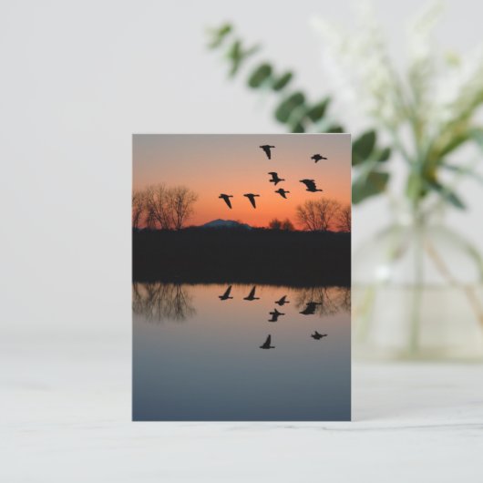 Abend Gänse Postkarte (Stehend Vorderseite)