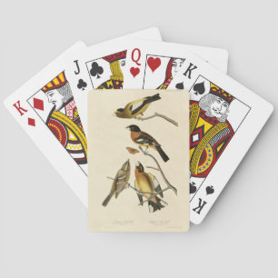 Abend, Gepunktet Grosbeak Audubon Birds of America Spielkarten
