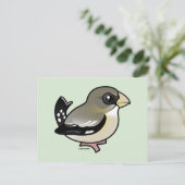 Abend Grosbeak (f) Postkarte (Stehend Vorderseite)