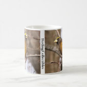 Abend Grosbeak Kaffeemaschine Tasse von BirdingCol (Mittel)