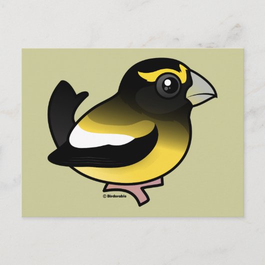 Abend Grosbeak Postkarte (Vorderseite)