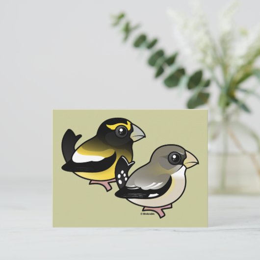 Abend Grosbeak Postkarte (Stehend Vorderseite)